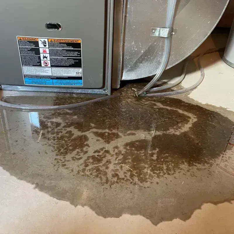 Appliance Leak Cleanup in Scott County, TN